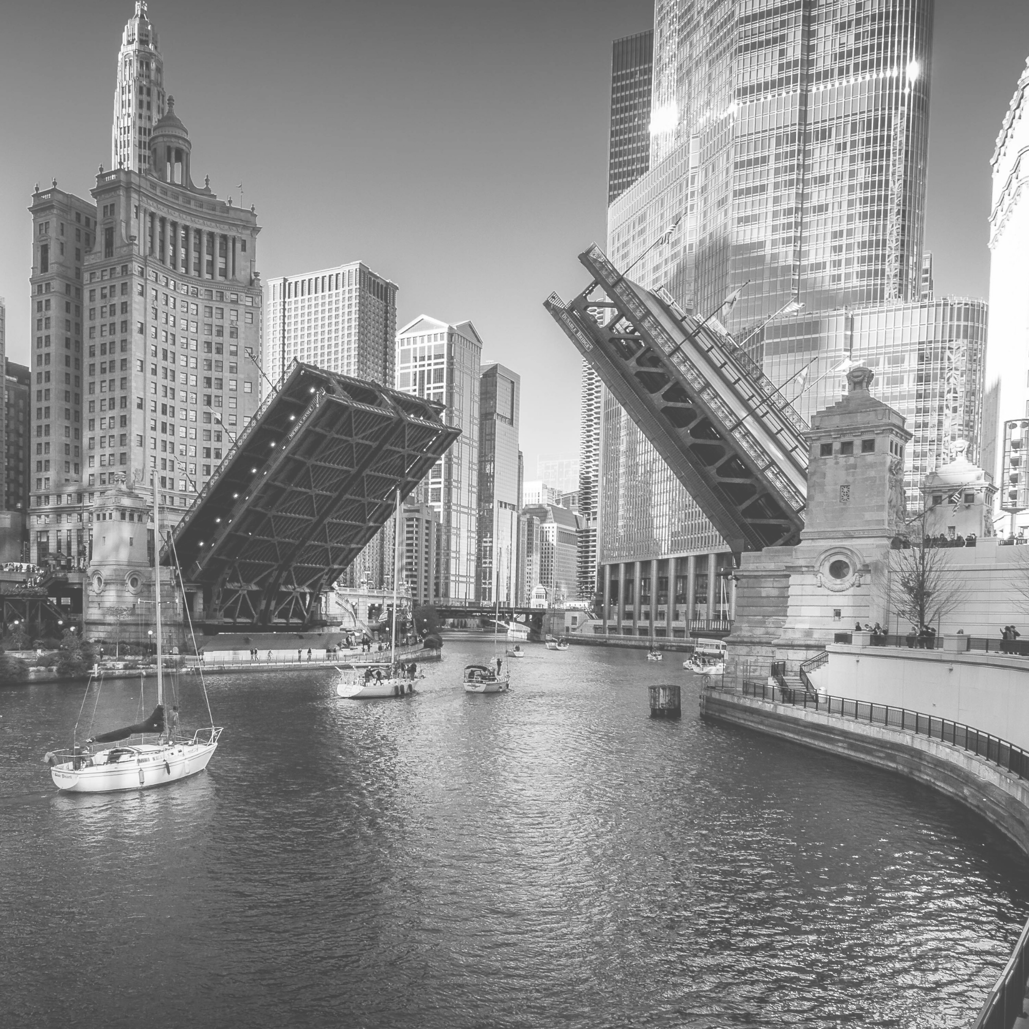 Level Up Chicago Show Up. Begin to Believe! America's Beauty Show